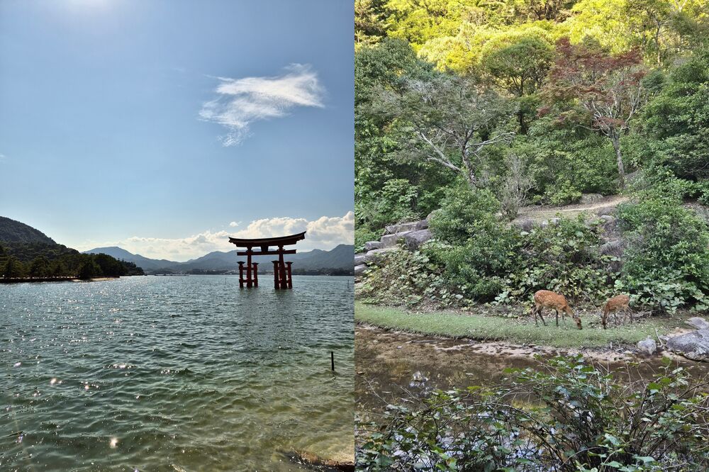 Isola di Miyajima Isola di Miyajima